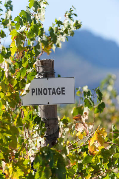 PinotageT71YmVPhTLnkT