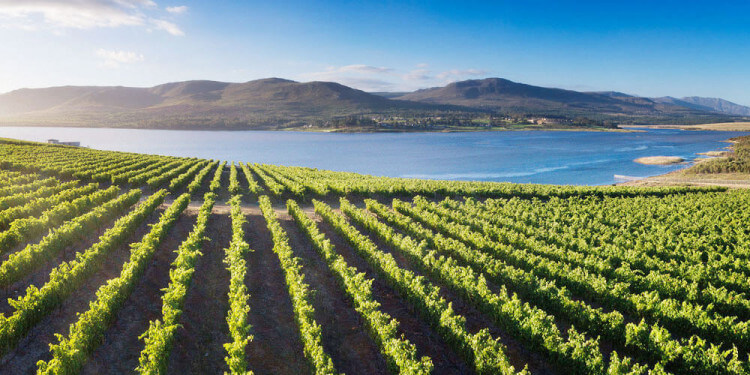 Kat-anbauregion-walkerbay-sa