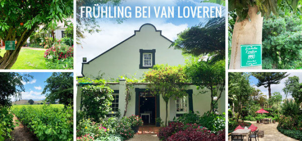 NLGrafik_666x311px_VanLoveren