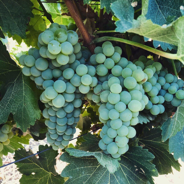 286A78D6-574D-4E4A-AAE5-D900960DD394