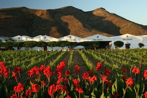 IMG_00024jDyxw0uEGRBW