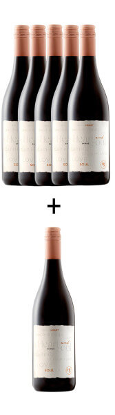 5+1 Heart & Soul Shiraz