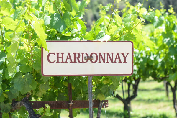 Chardonnay